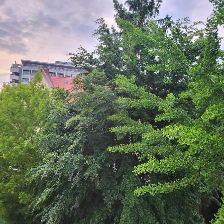 Privatzimmer An Der Uniklinik ماينتس المظهر الخارجي الصورة